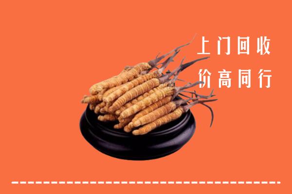 高价求购：晋中市回收散虫草
