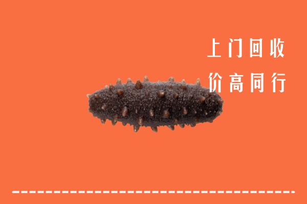 高价求购：晋中市回收海参